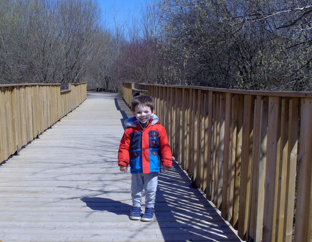 Son standing on the boardwalk at Heartland Forest