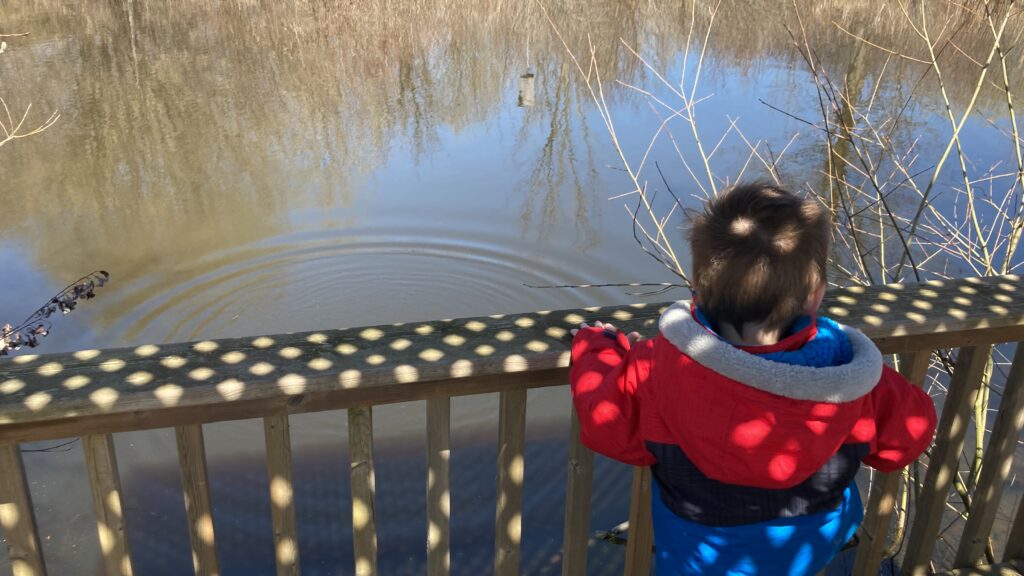 son throwing rocks in pond at heartland forest