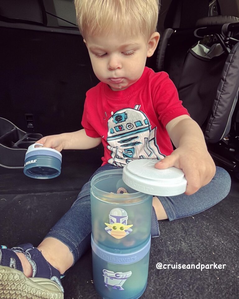 whiskware stacking containers travel essential for kids