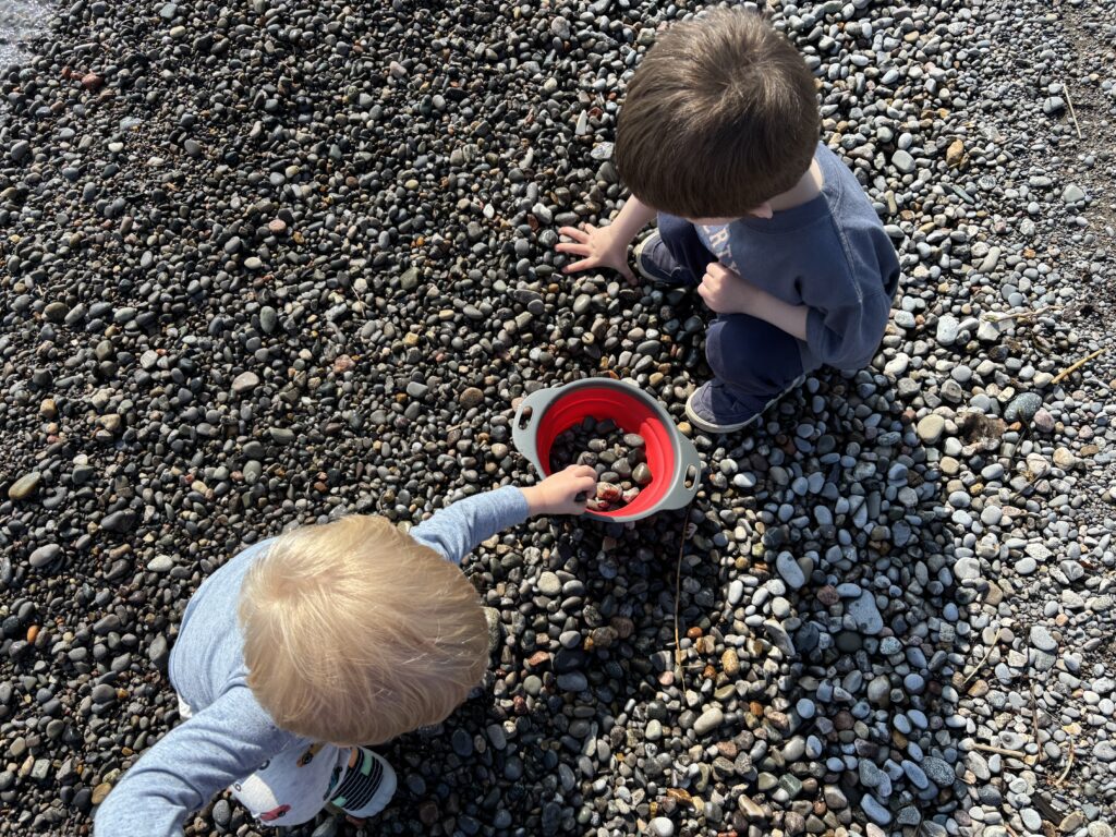 collecting rocks to throw in the colander